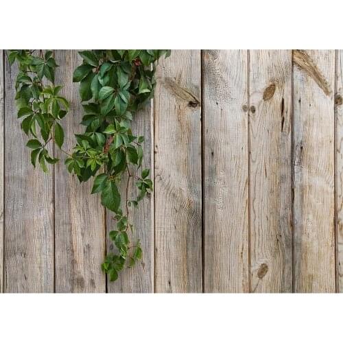 Wooden Board Green Leaves Photo Backgrounds Computer Printed Photography Backdrop for Children Baby Pets Toy Photophone Props