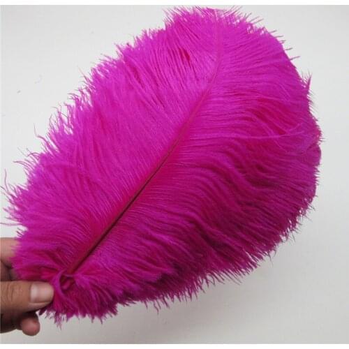 Wholesale 100 Pcs/Lot Natural Ostrich Feathers Rose Hard rod 15-75CM Hotel Party Wedding Decorations Jewelry plume Feather