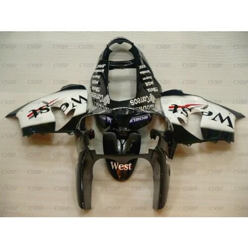 Plastic Fairings for Kawasaki Zx9r 2000 - 2001 Plastic Fairings Zx9r 00 Fairings Zx-9r 2000