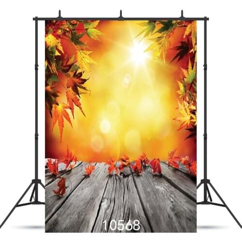 Sunshine Marple Leaf Photography Background for Children Baby Shower New Born Portrait Customized Vinyl Backdrop Photocall