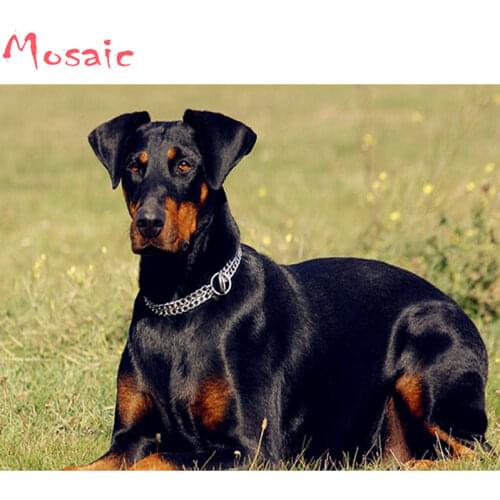 DIY 5D Diamond Mosaic Dog 3d Diamond Painting Doberman Pinscher Cross Stitch full square Diamond Embroidery Pattern Rhinestone
