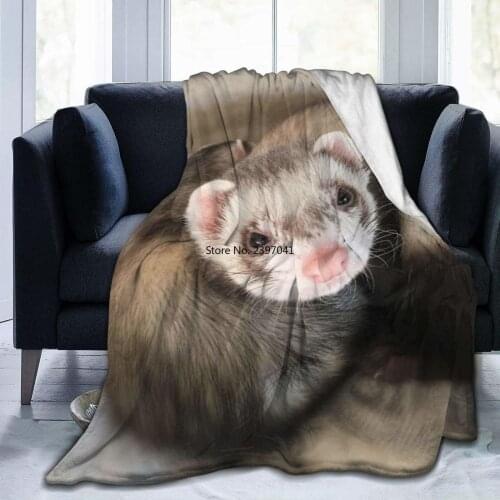 Adult Special Cute Ferret Throw Blanket Fashion Plush Throw Blankets All Season Ultra-Soft Micro Fleece Blanket Gifts