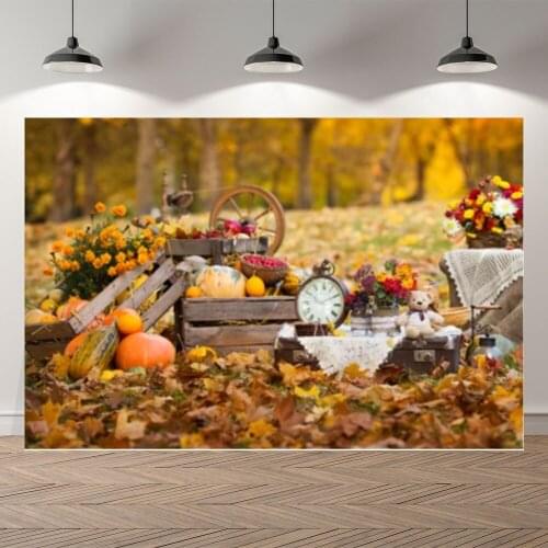 Seekpro Harvest Pumpkin Thanksgiving Background Photographic Backdrop Nature Autumn Scenery Children For Photo Studio Shoot