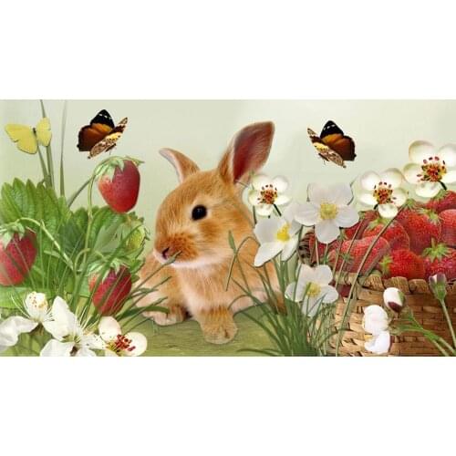 5D Diamond Painting Kits Full Round Cute Rabbit Mosaic Cross Stitch Embroidery Animal Flower Home Wall Art Decor