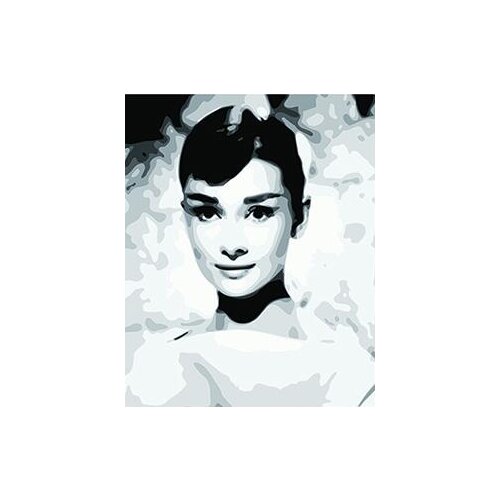 MaHuaf-W1030 Audrey Hepburn Framed Acrylic Painting by Number kit digital canvas paintings for living room 40x50