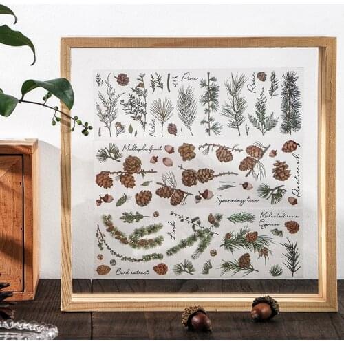 6 Pcs Vintage Vegetation Series Pine Cones PET Sticker Package DIY Diary Bullet Journal Decoration Sticker Album Scrapbooking