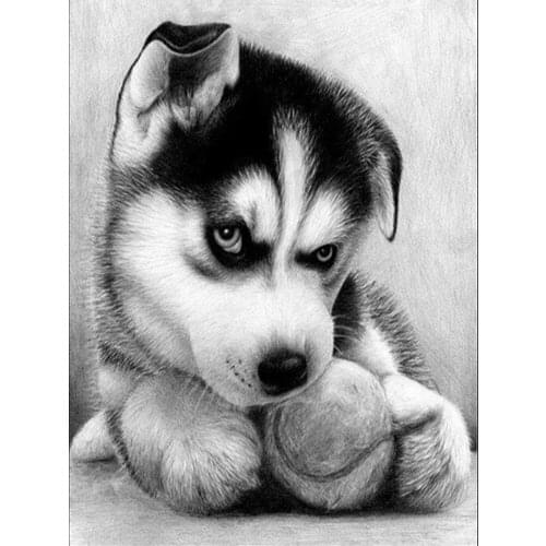 DIY dog diamond painting white black dog animal dimaond embroidery full drill Tiger catdiamond painting mosaic full round drill