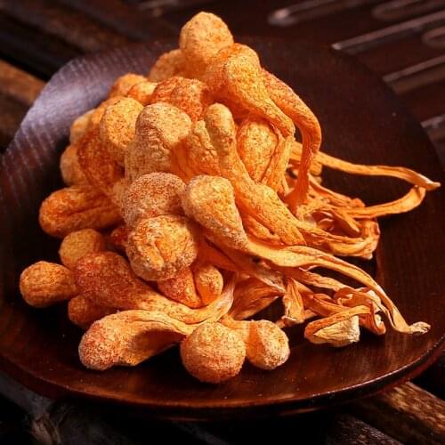 Top Grade Dry Cordyceps Mushroom,Original Cordyceps mycelium,Cordyceps Flower,High Quality & Natural with Free shipping