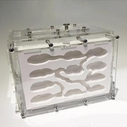 New DIY gypsum farm ant nest with feeding area, Anthill pet moisturizing eco-friendly ant nest great deal