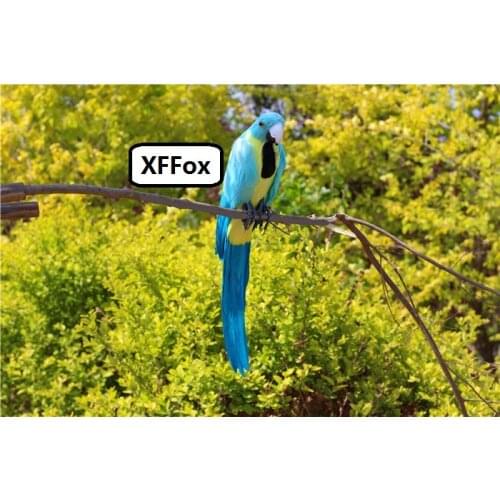 New real life blue&yellow parrot model foam&feather big simulation parrot bird gift about 60cm xf2629