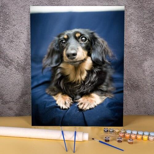 Animal Dog Dachshund Paint By Numbers Set Oil Paints 40*50 Paiting By Numbers Home Decor Crafts Adults Handicraft Drawing