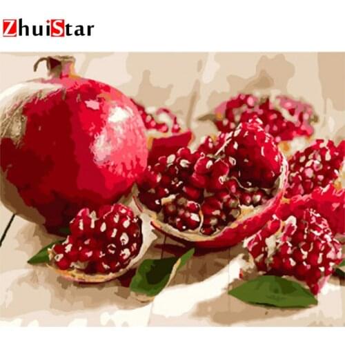 Rhinestone 5D DIY diamond painting red pomegranate mosaic cross stitch art pattern diamond embroidery craft home decoration ZWQ