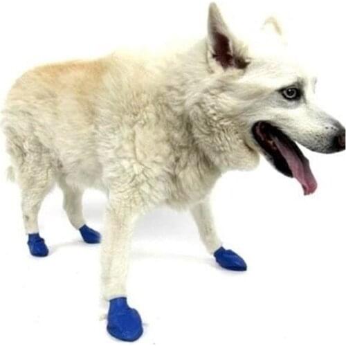 Pawz Medium moderate Breed Dog Footwear Cover 12 Pcs Blue 429216790
