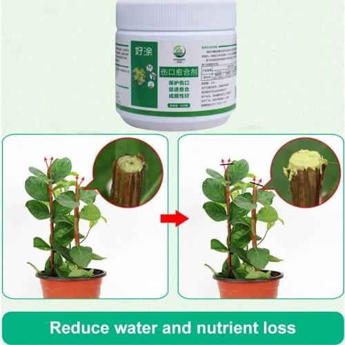 Bonsai Pruning Cutting Paste Tree Plant Pruning Sealer Compound Tree Pruning Sealer Tree Graft Healing Cream