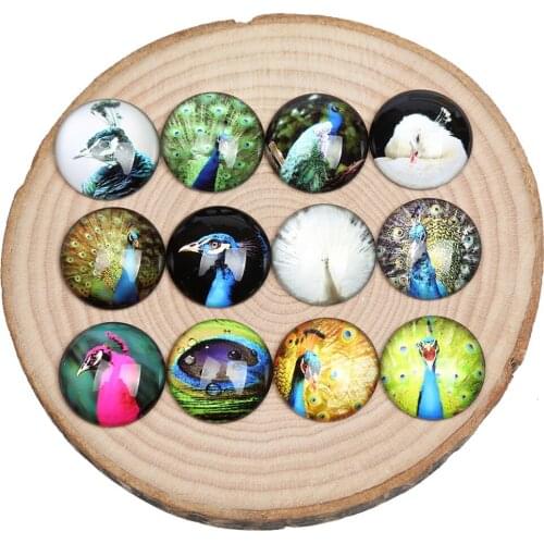 Reidgaller peacock photo round glass cabochon 12mm 20mm 25mm diy handmade jewelry findings for pendant earrings