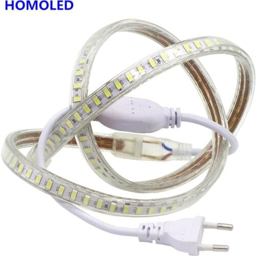 AC220V LED Strip SMD 5630 Flexible Light 120leds/m Waterproof Led Tape LED Light With Power Plug 1M/2M/5M/20M for outdoor garden