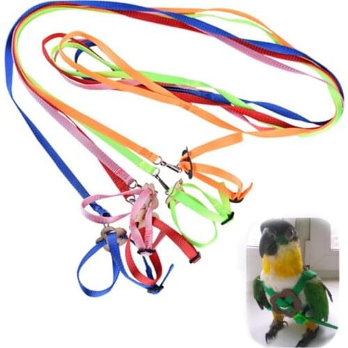Portable New Parrot Bird Hamster Turtle Lizard Traction Rope Reins 8-shaped Pet Strap Leash