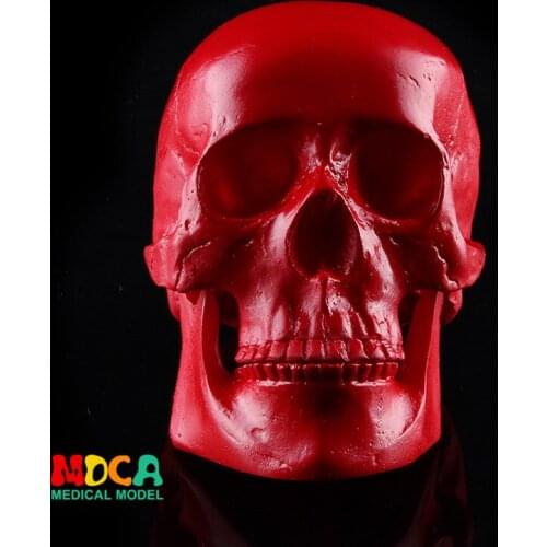 Resin skull Halloween gifts personal ornaments home accessories GXGT004