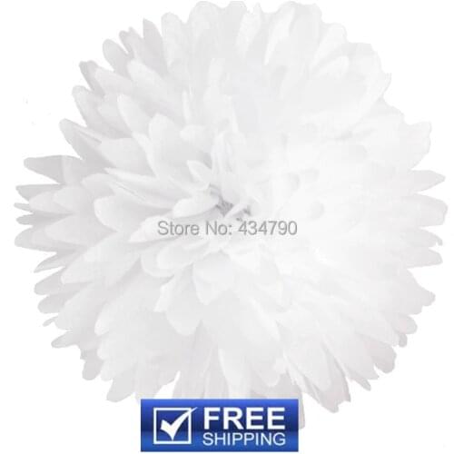 20pcs 14"(35cm) White Wedding Paper Flower Balls Bulk-Nursery Party Decorations,Decorative Tissue Pom Poms-Choose Your Colors