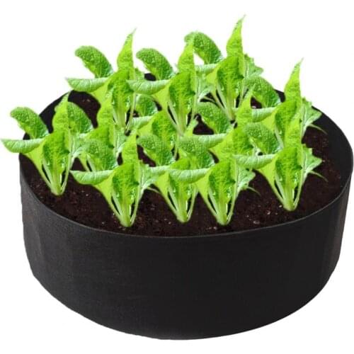 Planting Container Good Toughness Wear-resistant High Capacity Practical Planting Bag for Fruit