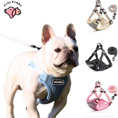 2021 New Pet Dog Harness and Leash Set Breathable Adjustable Harness for Small Dog Cat Harness Vest Chest Strap Pet Supplies