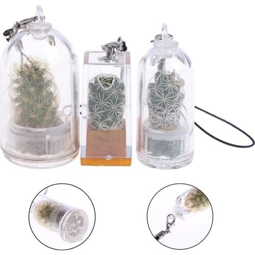 Creative 1pc Cactus Miniature Succulent Cacti Wearable Necklace Live Plant Pandant Random