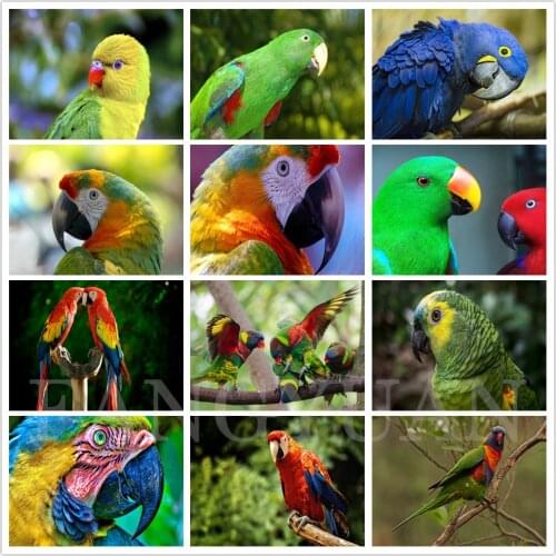 5D Diy Parrot Diamond Embroidery Painting Animals Plant Full Round Square Rhinestone Cross Stitch Kits Home Decor Wall Poster