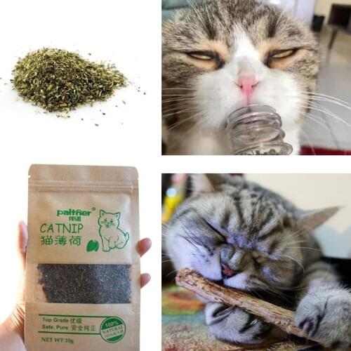 Catnip Toys Cat Snacks Sticks Cleaning Molar Teeth Toy Natural Catnip Cat Interactive Toy Non-toxic Can Be Sprinkled On Toys 10g
