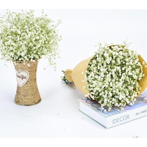 100g Natural Fresh Dried Preserved Flowers Gypsophila Babys Breath Flower bouquets gift for Wedding Home Decor Valentines Day