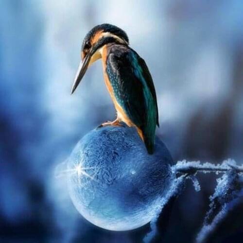 GLymg DIY 5D Diamond Embroidery Full Diamond Painting Needlework About To Burst Bird Cross Stitch Diamond Wall Arts Decor