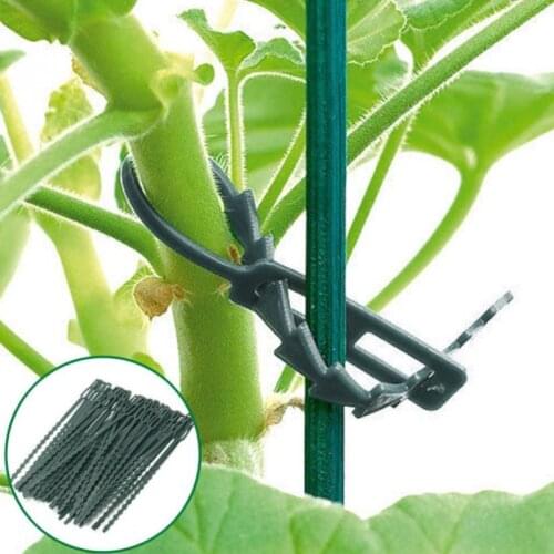 50pcs/lot Adjustable Plastic Plant Cable Ties Reusable Cable Ties For Garden Tree Climbing Support Garden Tools Hydroponics
