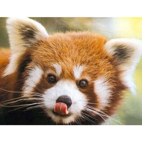 Full Square/Round Drill 5D DIY Diamond Painting "Ailurus fulgens/red pandas" Embroidery Cross Stitch Mosaic Home Decor Gift