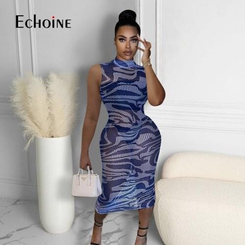 Echoine Summer Sexy O Neck Sleeveless Lady Net Yarn Micro Penetration Maxi Dress Women Print Slim Was Thin Party Club Dresses