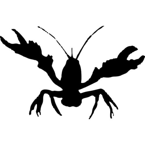 Crayfish Vinyl Sticker Car Sticker Boat That Fish Creole Southern Truck Accessories Car Accessories