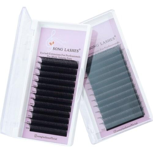 SONG LASHES W Shape Eyelash Extension Wholesale Individual Soft Russian 3D Volume Fans Grafting Lashes Korea PBT