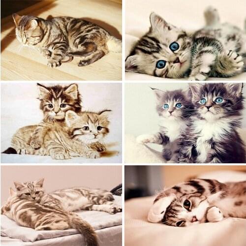 MomoArt Diamond Painting Cat Rhinestone Pictures Handcrafts Diamond Embroidery Animal Full Square Round Mosaic Home Decor