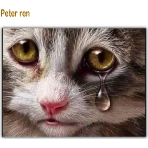 Diy Diamond painting cross stitch animal cat Square\Round mosaic Rhinestone icon Full embroidery Home Decorations Kittens tears