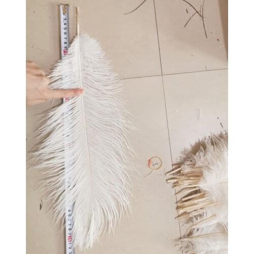 EMS Free shipping Cheap ostrich feather 100pcs 20-22 inches 50-55cm white Ostrich plumage ostrich plume