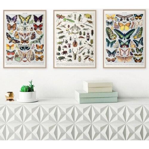 Vintage Buttferflies Prints Adolphe Millot Encyclopedia Educational Poster Bees Insects Pictures Canvas Painting for Kids Class