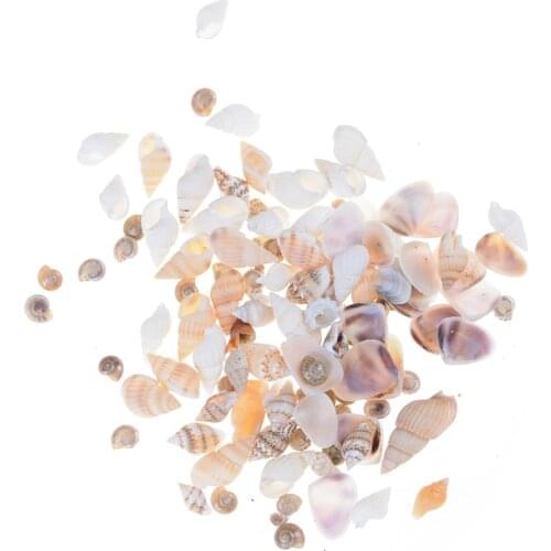 40Pcs/bag Mini Sea Shell Approx Miniature Dollhouse Sea Shell Bonsai Lanscape DIY Decor 1:12 Dolls Garden Accessories