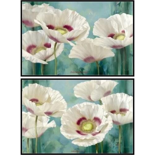 Counted Cross Stitch Kits Needlework Embroidery - Crafts 14 ct Aida DMC Color DIY Arts Handmade Home Decor - Tasmanian Poppies