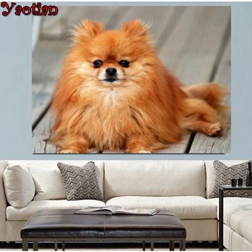 Puppies Pomeranian Diamond Painting Cross Stitch Full Square Round drill Diy Diamond Mosaic animal Diamond Embroidery sale
