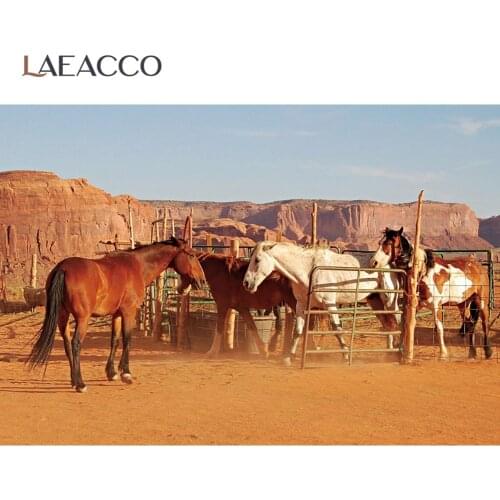 Laeacco Wild Desert Hillside Horse Warehouse Farm Rural Natural Scenic Photographic Background Photo Backdrop Photo Studio