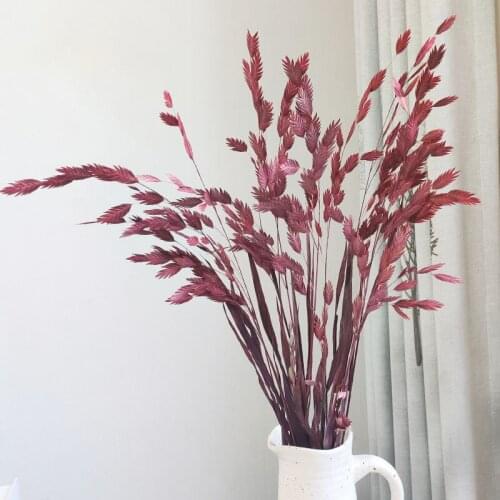 10pcs Preserved Plant Dried Leaves In Vase Flower Artificial Leaf Wholesale Table Decoration And Accessor Gazebos Crafts Party