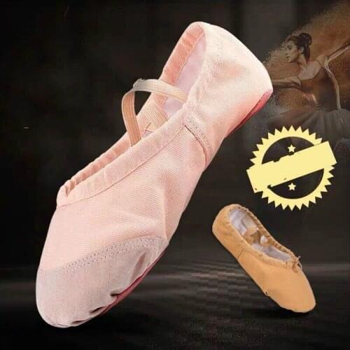 Adult Young Children Dance Shoes Female Soft-soled Student Practice Shoes Male Ballet Shoes Yoga Body Cat Claw Dancing Shoes