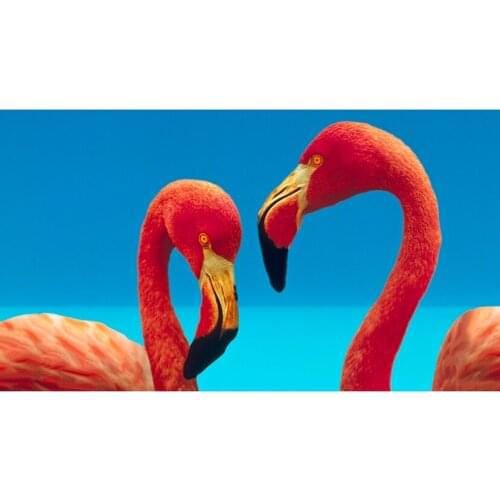 Diy Diamond Painting Animal Pink Flamingo Drill Mosaic Embroidery Full Round Cross Stitch Decor Room JX442