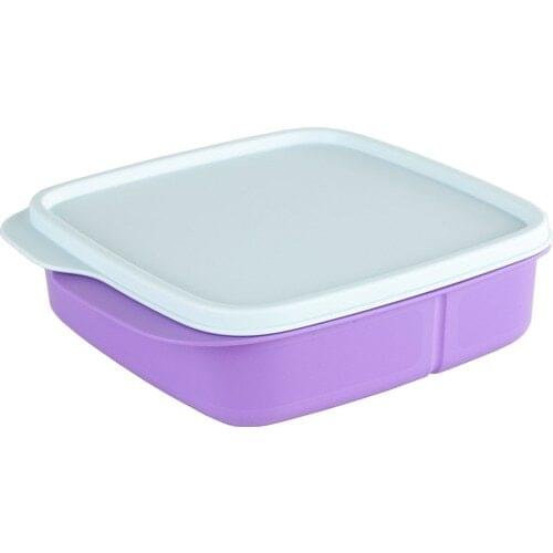 Tupperware Compartment Lunch Box 550 ml