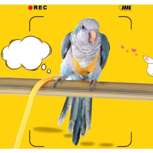 Parrot Flying Training Rope Anti-bite Bird Adjustable Leash Kits with Cute Wing for Peony Parrot Mynah Training Supplies