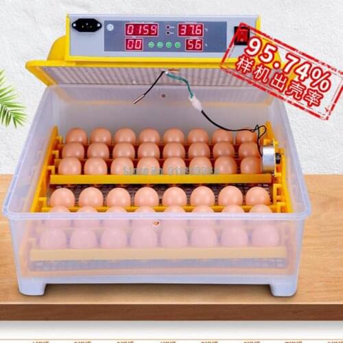 48 Automatic Incubators, 36 Domestic Chickens, Ducks, Geese, Pigeons And Birds, 48 Small Incubators