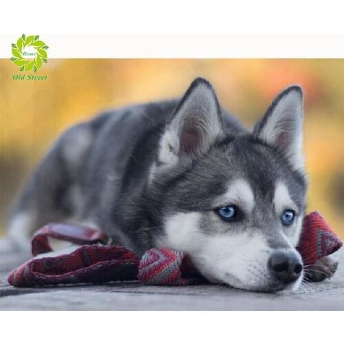 Old Full Drill Square Diamond Embroidery Sale 5D DIY Diamond Painting Dog Animal Rhinestone Picture Diamond Mosaic DropShipping